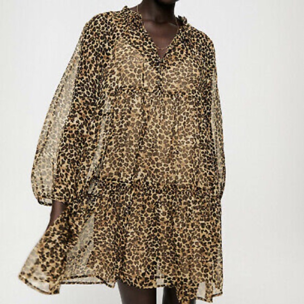 Zara dress